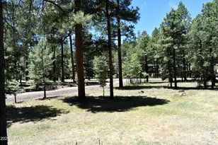 2509 Deer Ridge Dr, Happy Jack, AZ 86024 - Photo 38