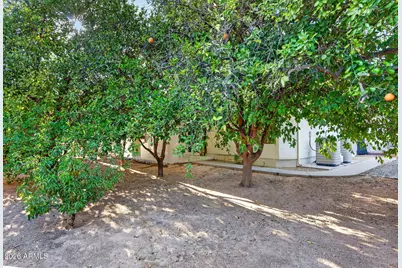 2241 E Hermosa Vista Drive, Mesa, AZ 85213 - Photo 52