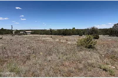 8394 Silver Creek Drive #35, Show Low, AZ 85901 - Photo 4