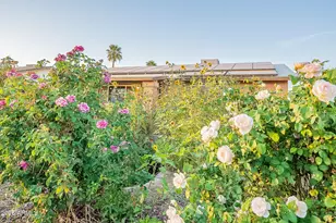 1022 W Apollo Ave, Tempe, AZ 85283 - Photo 4