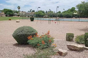 2251 N 32nd St, Mesa, AZ 85213 - Photo 82