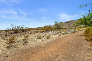 21171 W Holly St, Buckeye, AZ 85396 - Photo 60