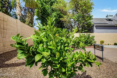 5002 E Blanche Drive, Scottsdale, AZ 85254 - Photo 44