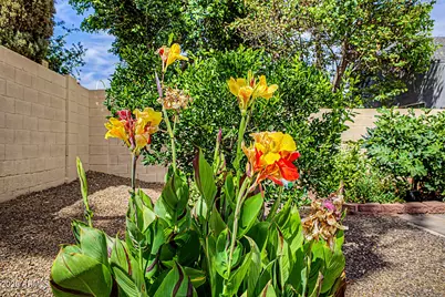 5002 E Blanche Drive, Scottsdale, AZ 85254 - Photo 48