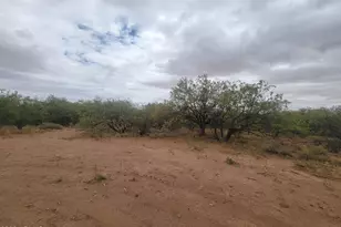 Tbd E Anika Way Lot E --, Hereford, AZ 85615 - Photo 4