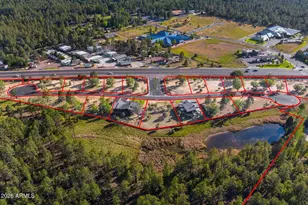 3449 NE Bear Mountain Dr Dr E, Pinetop-Lakeside, AZ 85929 - Photo 74