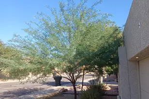 11059 E Yucca St, Scottsdale, AZ 85259 - Photo 22