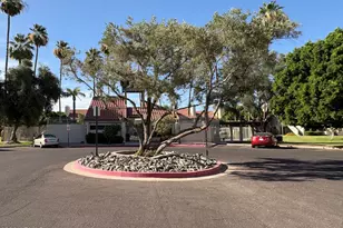 30 E Brown Rd, Mesa, AZ 85201 - Photo 22