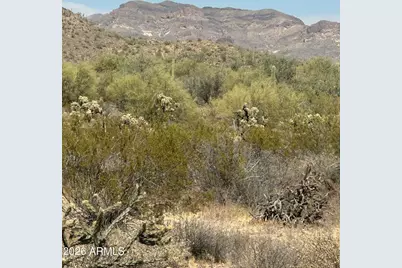 10849 E Palm Way #33, Gold Canyon, AZ 85118 - Photo 6