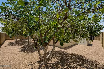 463 S Olmo Circle, Apache Junction, AZ 85120 - Photo 20