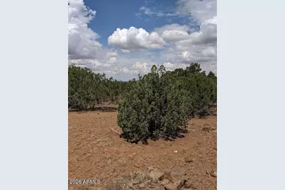 1 County Rd 8060 -- #-, Concho, AZ 85924 - Photo 10
