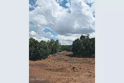 1 County Rd 8060 -- #-, Concho, AZ 85924 - Photo 12
