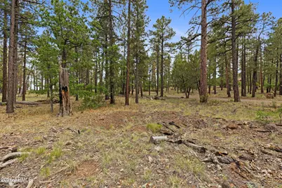 1628 Canyon View Loop #27, Williams, AZ 86046 - Photo 54