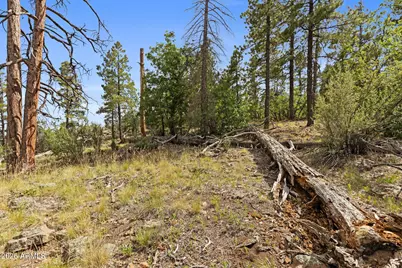 1628 Canyon View Loop #27, Williams, AZ 86046 - Photo 52
