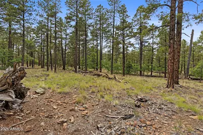 1628 Canyon View Loop #27, Williams, AZ 86046 - Photo 46