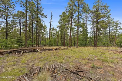 1628 Canyon View Loop #27, Williams, AZ 86046 - Photo 18