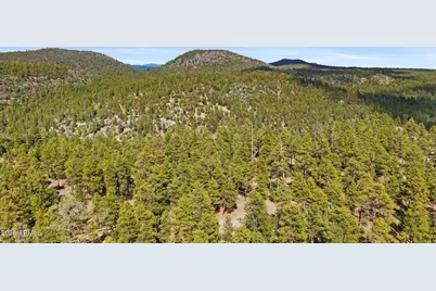 1628 Canyon View Loop #27, Williams, AZ 86046 - Photo 40