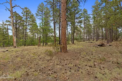 1628 Canyon View Loop #27, Williams, AZ 86046 - Photo 16
