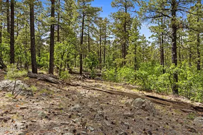 1628 Canyon View Loop #27, Williams, AZ 86046 - Photo 50