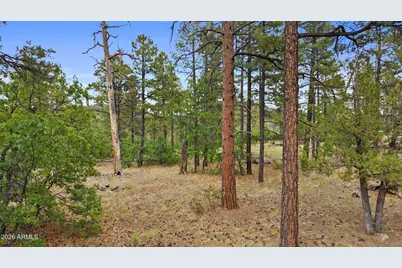 1628 Canyon View Loop #27, Williams, AZ 86046 - Photo 2