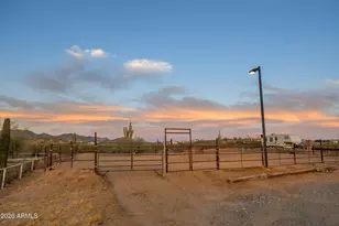 3846 N 54th St, Mesa, AZ 85215 - Photo 66