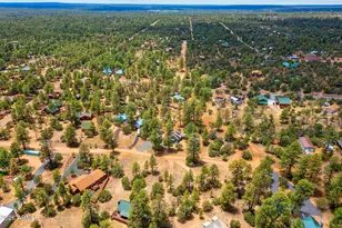 3316 Ox Bow Bend, Overgaard, AZ 85933 - Photo 44