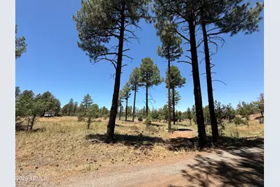 854 E Pine Meadow Lane #-, Show Low, AZ 85901 - Photo 2