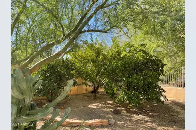 25236 N 41st Avenue, Phoenix, AZ 85083 - Photo 8