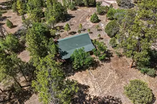 2631 Velvet Antler Trail, Happy Jack, AZ 86024 - Photo 26