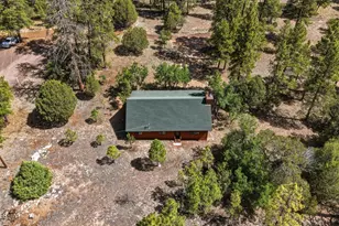 2631 Velvet Antler Trail, Happy Jack, AZ 86024 - Photo 30