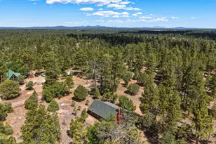 2631 Velvet Antler Trail, Happy Jack, AZ 86024 - Photo 32