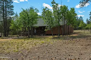 2631 Velvet Antler Trail, Happy Jack, AZ 86024 - Photo 22
