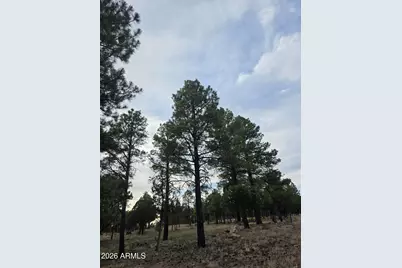 2584 Arapaho Drive #600, Happy Jack, AZ 86024 - Photo 10