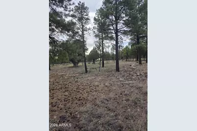 2584 Arapaho Drive #600, Happy Jack, AZ 86024 - Photo 6