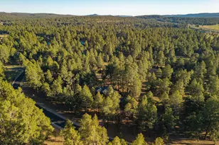 1344 Buckhorn Loop, Flagstaff, AZ 86001 - Photo 66