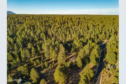 1344 Buckhorn Loop, Flagstaff, AZ 86001 - Photo 62