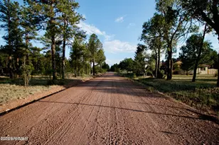 552 Rim Dr, Pinedale, AZ 85934 - Photo 40