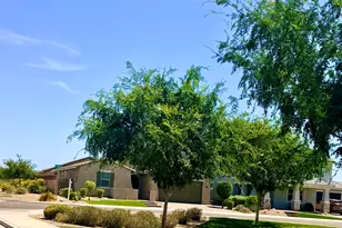 14074 W Holly St, Goodyear, AZ 85395 - Photo 50