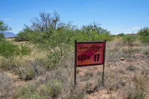 Tbd S Xxx Coatimundi Dr, Hereford, AZ 85615 - Photo 1