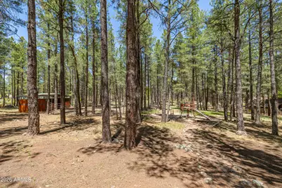 2950 W Kiltie Lane, Flagstaff, AZ 86005 - Photo 66