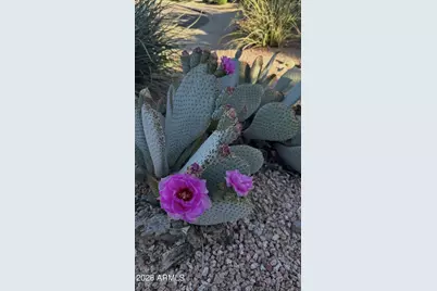 1050 N Kristin Lane, Chandler, AZ 85226 - Photo 50