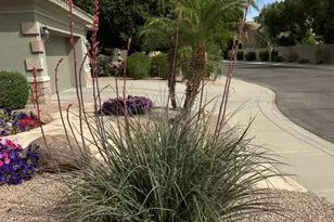 1050 N Kristin Ln, Chandler, AZ 85226 - Photo 46