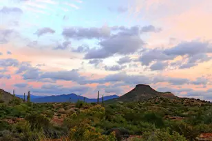 11331 E Dale Ln, Scottsdale, AZ 85262 - Photo 32