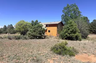 2758 Zane Grey Blvd, Overgaard, AZ 85933 - Photo 16