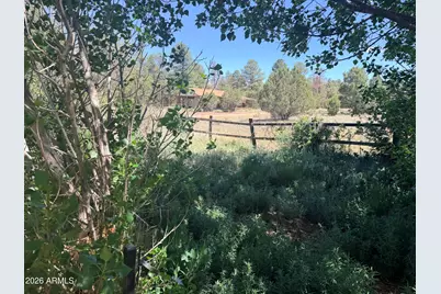 2758 Zane Grey Boulevard, Overgaard, AZ 85933 - Photo 18