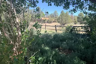 2758 Zane Grey Blvd, Overgaard, AZ 85933 - Photo 18