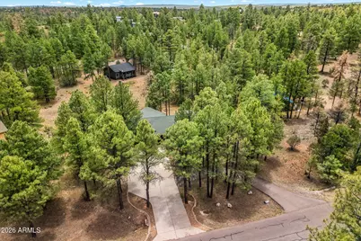 2917 Lodgepole Road, Overgaard, AZ 85933 - Photo 32