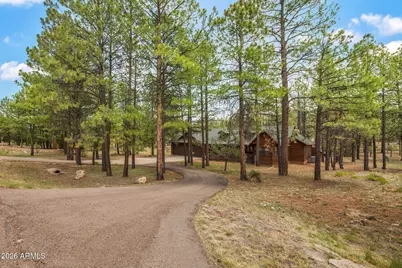 2917 Lodgepole Road, Overgaard, AZ 85933 - Photo 2