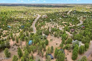 2917 Lodgepole Rd, Overgaard, AZ 85933 - Photo 34