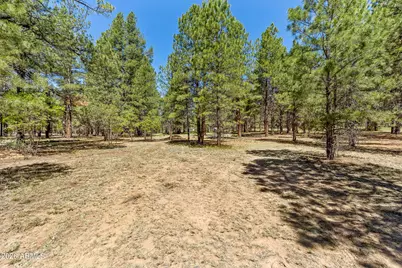 763 E Flat Rock Ridge, Flagstaff, AZ 86001 - Photo 68